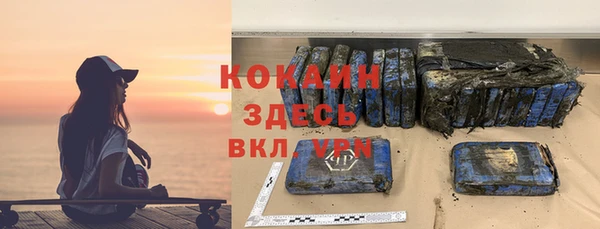 индика Ростов