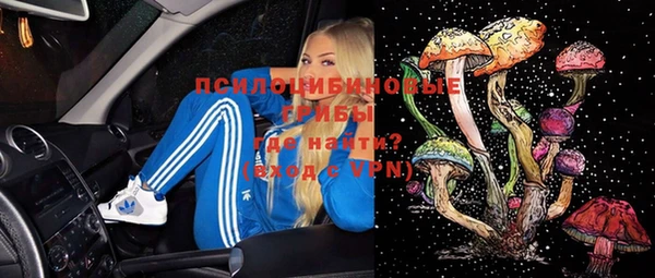 apvp Алексеевка