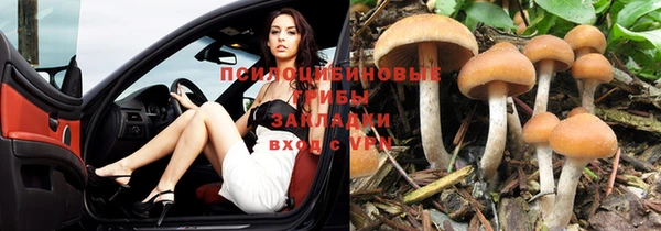 скорость Алексин