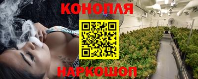 индика Волжский
