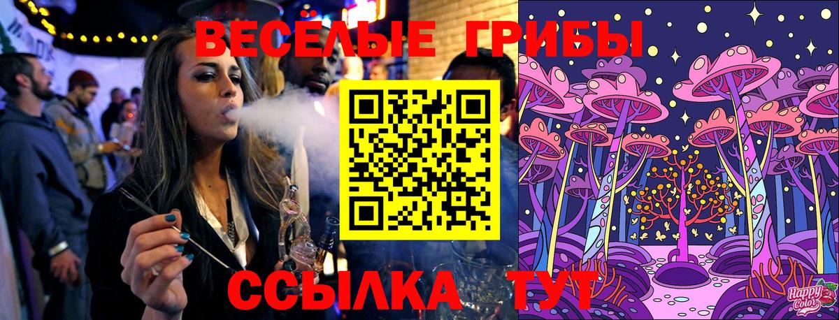купить наркоту  Вход с VPN  Беслан  Псилоцибиновые грибы GOLDEN TEACHER 
