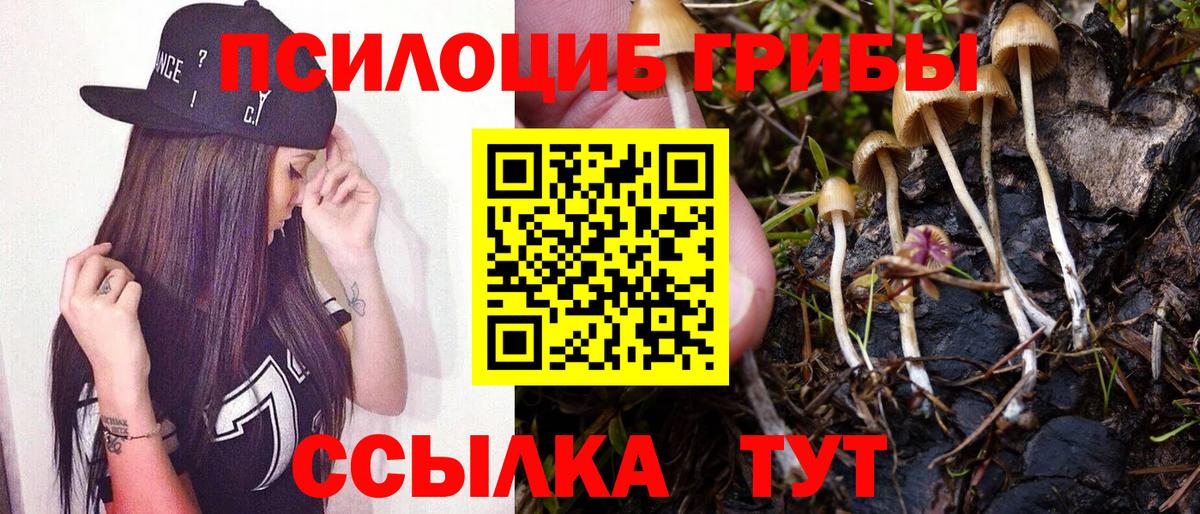 Галлюциногенные грибы Psilocybe  Псилоцибиновые грибы MAGIC MUSHROOMS  сколько стоит  Вход с VPN  Беслан 