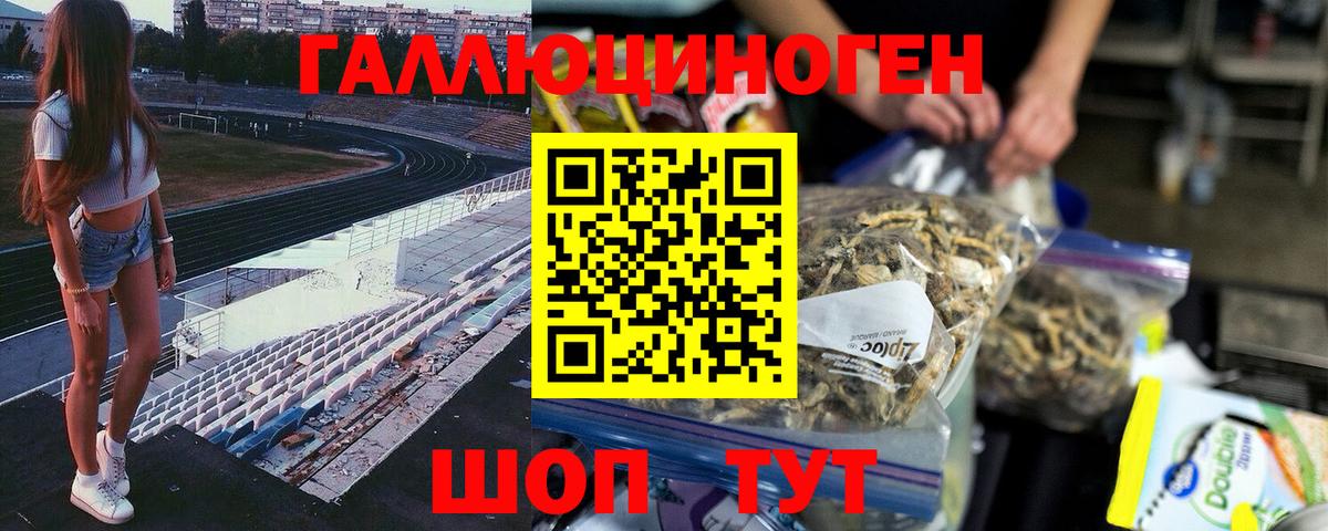 Псилоцибиновые грибы прущие грибы Беслан